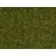 Scatter Grass "Meadow" (4mm, 20g)