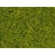 Scatter Grass (light green, 4mm, 20g)