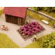 HO Scale Red Cabbage (Length: 30mm, Width: 60mm)