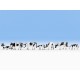 HO Scale Black-white Cows (7 figures)