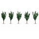 HO, TT, N, Z Scale Poplar Trees (5pcs, approx. 12 cm high)