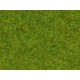 HO,TT,N,Z Scale Scatter Grass "Spring Meadow" (Length: 2.5mm, 100g)