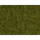 HO, O, N Scale Scatter Grass "Meadow" (Length: 2.5m, 100g)