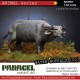 1/35 Water Buffalos in Vietnam Era Vol. 2