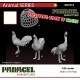 1/35 Fighting Chicken with Cages