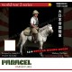 1/35 WWII IJA Officer Riding Horse (1 figure and 1 horse)