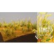 1/35 Weed,Foxtail Grass - Paper Plant kit