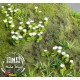 1/35 Daisy - Paper Plant kit