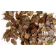 1/35 Oak Leaves - Extra Colours