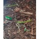 Forest Floor - 125ml Super Detailed Scenic Scatter