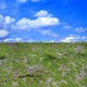 Landscape Mat - Wild Grass Type 1 (Size: approx. 20 x 30cm, thick: 1cm)