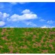 Landscape Mat - Wild Grass Type 5 (Size: approx. 20 x 30cm, thick: 1cm)