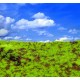Landscape Mat - Wild Grass and Hills Type 3 (Size: approx. 20 x 30cm, thick: 1cm)