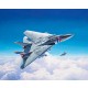 1/100 Grumman F-14D Super Tomcat