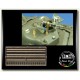 1/35 Ammunitions Belts