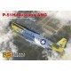 1/72 P-51H Mustang, ANG