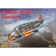 1/72 French Caudron C-455 Goeland