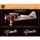 1/72 PZL 1. I-II Prototype & Fighter (Full Resin Kit)