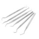 6 Pieces Stainless Steel Probes Set