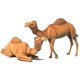 1/35 Camel Set (2pcs)