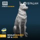 1/35 Dog 