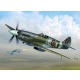 1/72 Supermarine Spitfire Mk.XIVc/e
