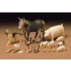 1/35 Livestock Set