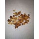 1/48 Maple Leaves - Dry (200pcs)