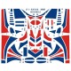 1/48 ROCAF AT-3 Stripe Livery Decal 