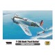 1/48 Curtiss P-36 Hawk "Pearl Harbor"