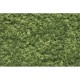 Ground Cover - Foliage #Light Green (coverage area = 72 in2 / 464 cm2)