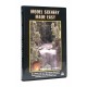 [DVD] Model Scenery Made Easy (60 minutes)
