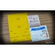 1/24 Honda EG6 Window Mask, Metal Sticker and Decal for Hasegawa kit