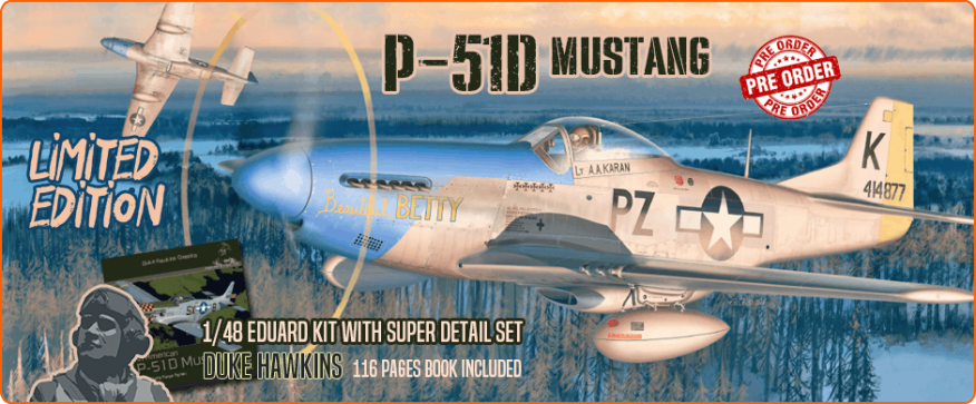 Duke Hawkins DH048-LEK003 1/48 P-51D Mustang Fighter [Limited Edition]